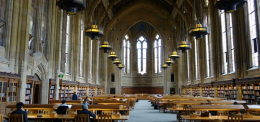 Educating AI: universities shaping model post-training and curriculum design
