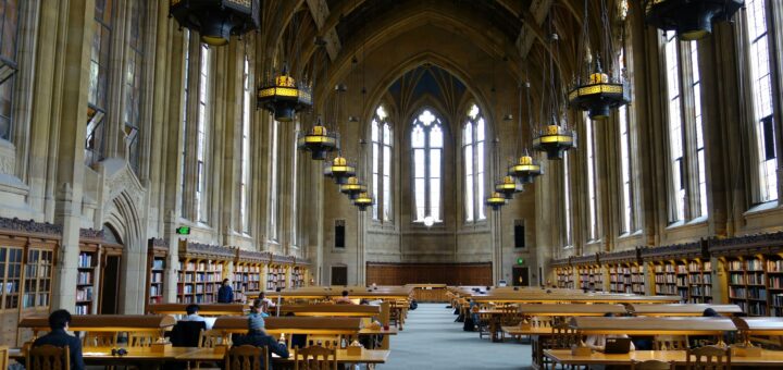 Educating AI: universities shaping model post-training and curriculum design